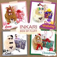 tfluffbox-CHRISTMAS-HAZELNUT_5_3000x.jpg