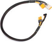 SPMX-1013.jpg