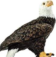 a590c5f424b8a2f0ede350eee5bba853ae8ff351_1000x1000_crop_center.jpg