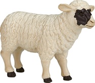 Mojo Ovca Hampshire