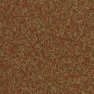 7ae7201ca1b26b334dcefaf4d1a8ad0c.jpeg
