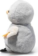 light-at-night-lio-pinguin-242847-1.jpg