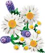 LEGO_11508_WEB_SEC02_NOBG_en-gb.jpg