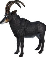 Mojo-Antilopenkrähe
