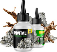 INVITAL HardScape Glue 20 g - lepidlo na dekorácie