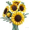 LEGO_11502_WEB_PRI_NOBG.jpg