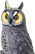 0a874c317e3242a53af9b490abb0286c3ad5f961_1000x1000_crop_center.jpg