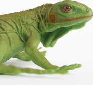 a0ebc4cc6ab7d746db55fcad41ee45977da1d714_1000x1000_crop_center.jpg
