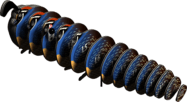 65562528e0d8cf18152abbed5db3f765.png