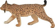 MJ387064_3.jpg