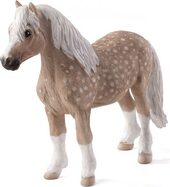 Mojo Velšský pony