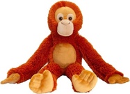 monky1.jpg