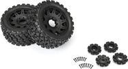 PRO1019811-02.jpg