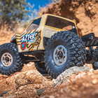 PRO1025403-05.jpg
