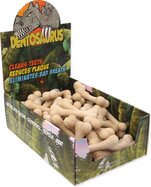 Displej Kosť Dentosaurus kalciová 8,5cm 56ks