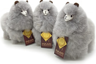 SMALL - light wolf - group.jpg