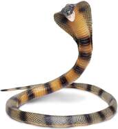Safari® Cobra