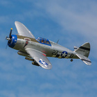 EFL08450_05.jpg