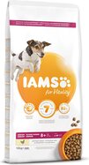IAMS Dog Senior Small &amp; Medium Chicken 12kg