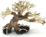 Bonsai Driftwood 20 x 15 x 16 cm No.28