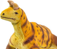 shringasaurus-598977_1000x1000__53097.jpg