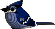 EUGY Sojka blu 3D puzzle di cartone