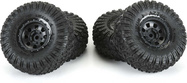 PRO1031910-02.jpg