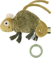 Mini hrací chameleon, Crazy