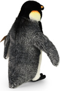 211865-3.jpg