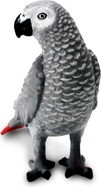 ezgif-6b4bb593166602de.jpg