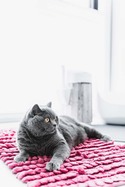39ae0390739e09bd9e6c93fca48cc0c5.jpg