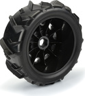 PRO1020210-04.jpg