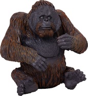 Mojo Orangutan