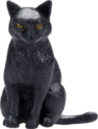Mojo Schwarze Katze sitzt