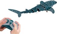 w012527-2.jpg