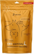 Pamlsok CBD Recovery L 100g