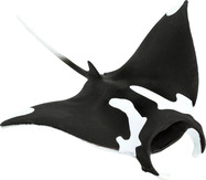 ezgif-5d4c1deffe4a5a4f.jpg