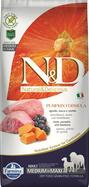 ND Dog Pumpkin Adult M/M 12kg jahna,cucoriedka