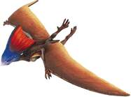 Safari® Tapejara dinosaurus
