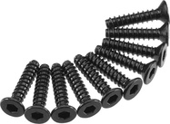 Axial skrutka imbus 2.5x12mm FH (10)