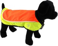 Vesta Dog Fantasy LED Reflexná nabíjacia S