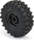 PRO1021410-02.jpg