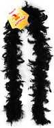 250451-1.jpg