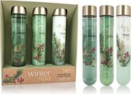 ACCENTRA Set za kupanje Winter Spa cijevi Zimsko voće 2x 60ml + 80g