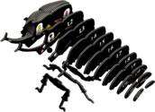 46a36eeaf9d0363e1b8ca515777d025e.png