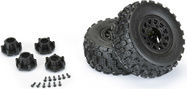 PRO1015610-02.jpg