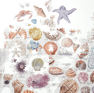 9780735357051_2.puzzle.jpg