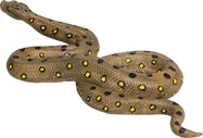Mojo Anaconda