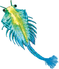 5e679baa6adebcf8645a6ce496a8ee66.jpg