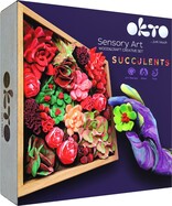 OKTO Passion Kreativ-Set Sukkulenten im Holzrahmen 21x21 cm